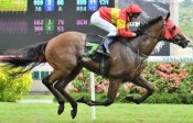 Simple Pleasures on his way to victory under John Powell last October.<br>Photo by Singapore Turf Club